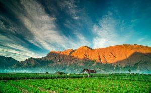 Mount Rinjani Environment must you know if you are rinjani trekking planner