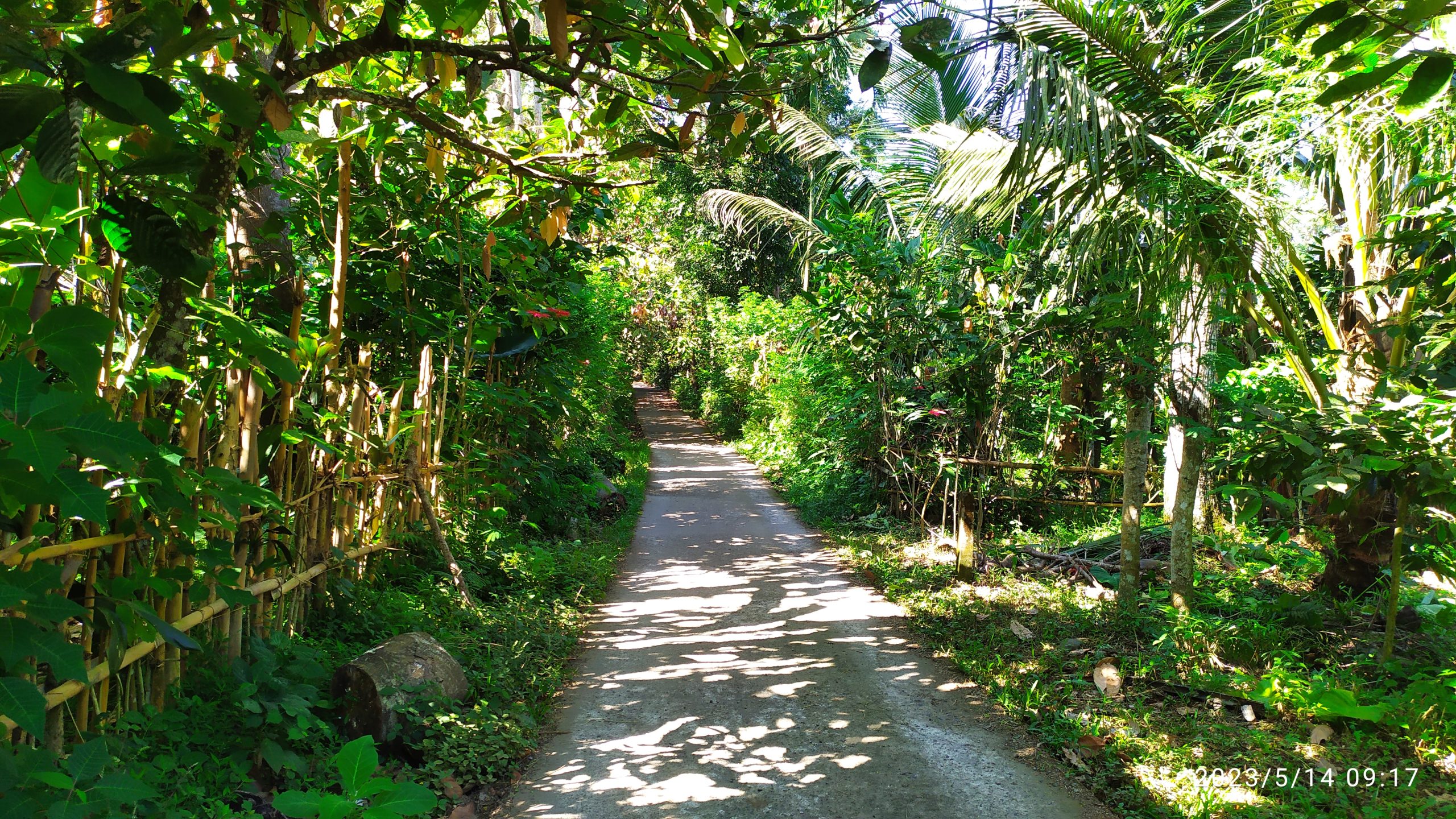 One of the popular hiking trails before earthquake was the Senaru Trekking Trail, which was once a favorite among Trekkers Mount Rinjani